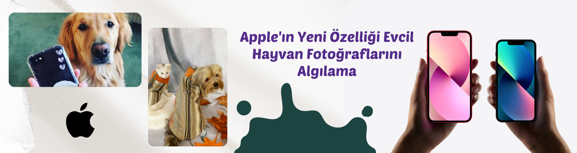 Apple'ın Yeni Özelliği: Evcil Hayvan Fotoğraflarını Algılama